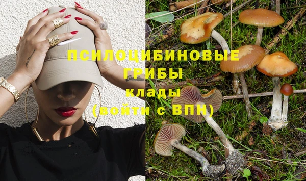 mdpv Алзамай