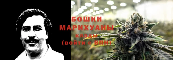 ешки Аркадак