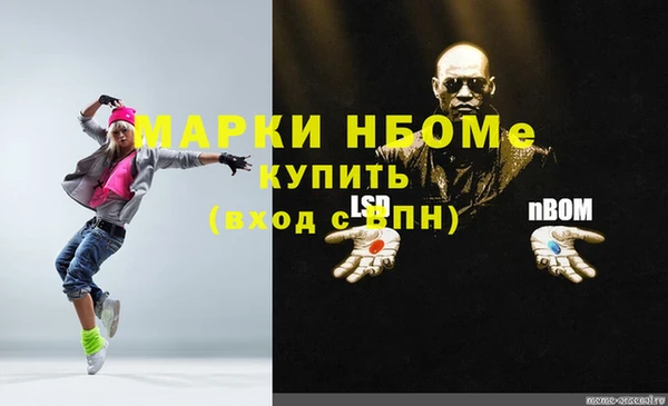 ешки Аркадак